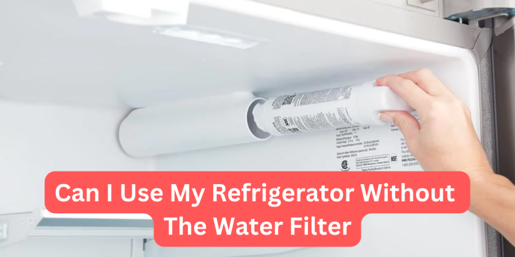Can I Use My Refrigerator Without The water filter?