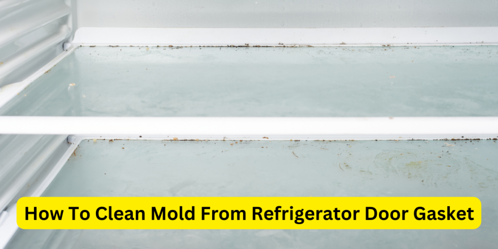How To Clean Mold From Refrigerator Door Gasket?