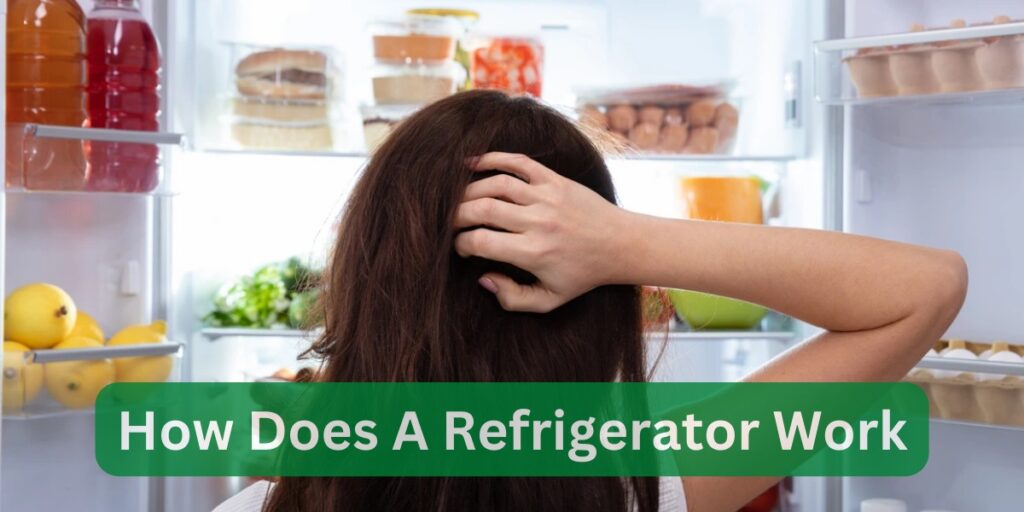 How Does a Refrigerator Work?