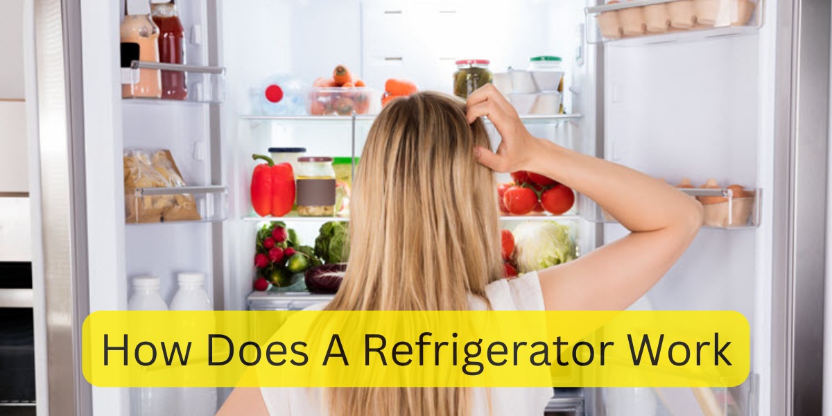 How Does a Refrigerator Work?