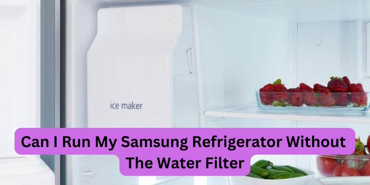 Can I Run My Samsung Refrigerator Without The Water Filter?