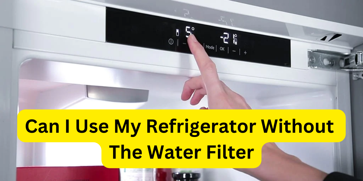 Can I Use My Refrigerator Without The water filter?