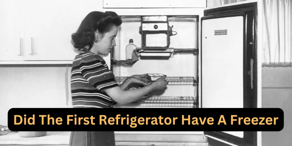 Did The First Refrigerator Have a Freezer