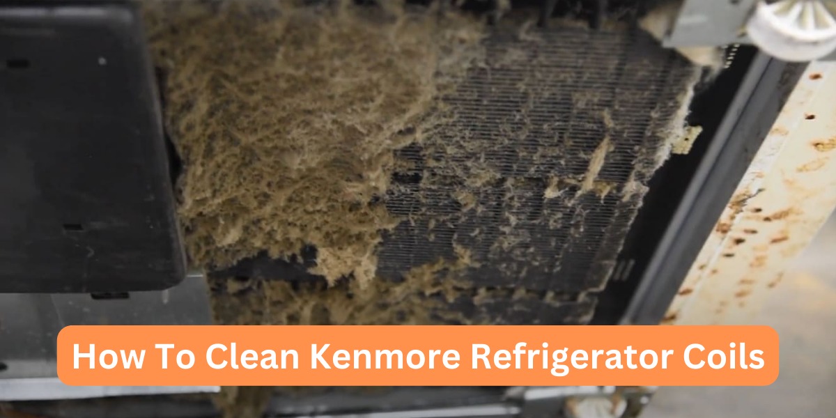 How To Clean Kenmore Refrigerator Coils?