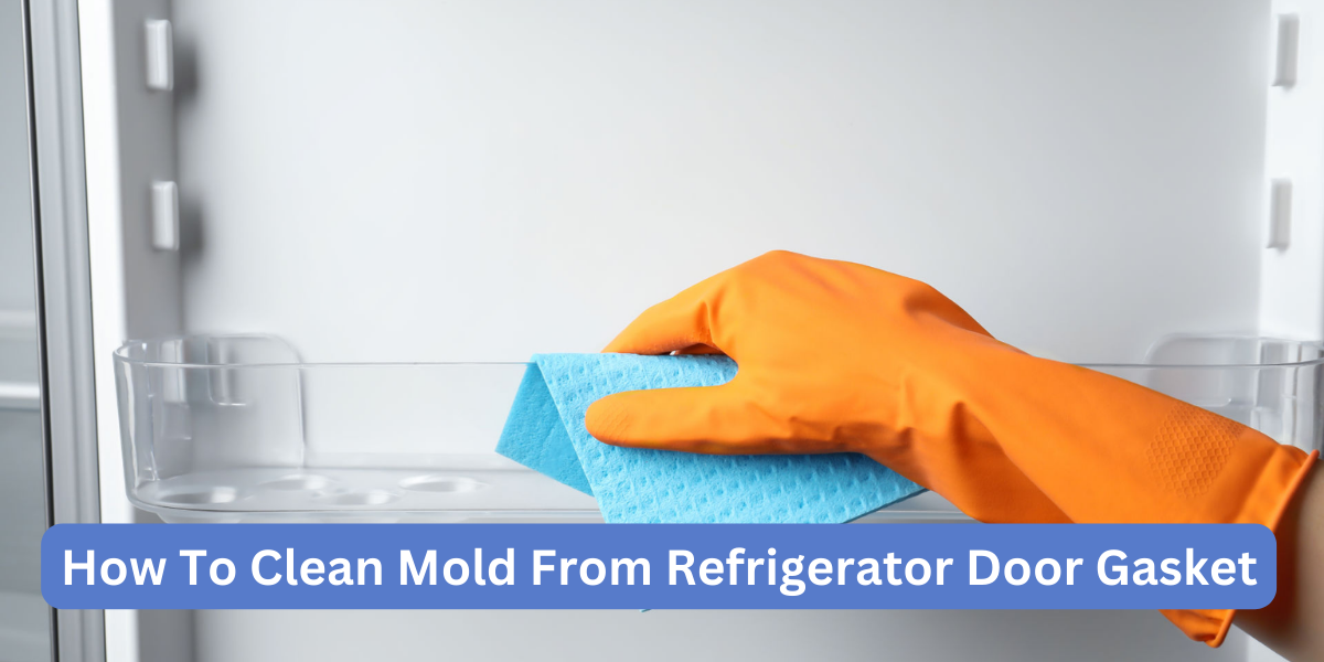 How To Clean Mold From Refrigerator Door Gasket?