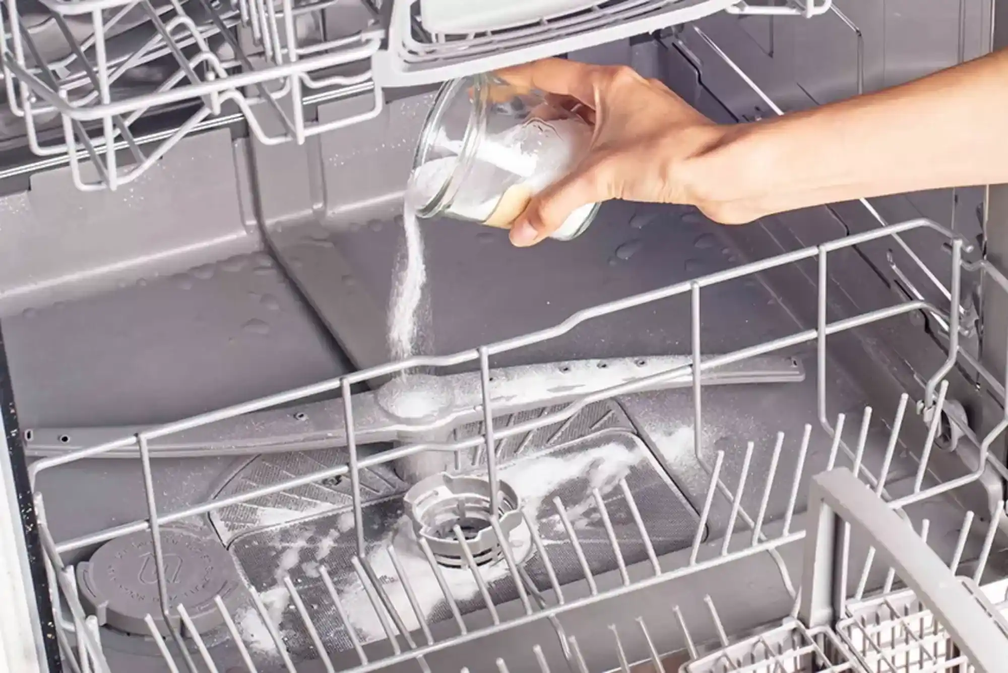 Why Your Dishwasher Smells and How to Fix It