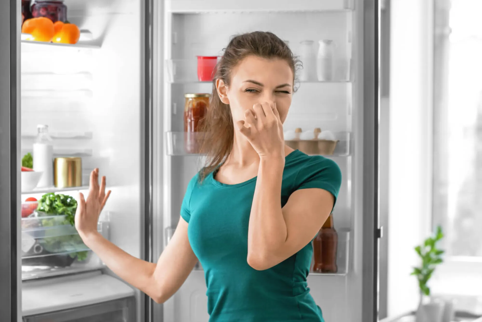 Fridge Smells Bad After Repair