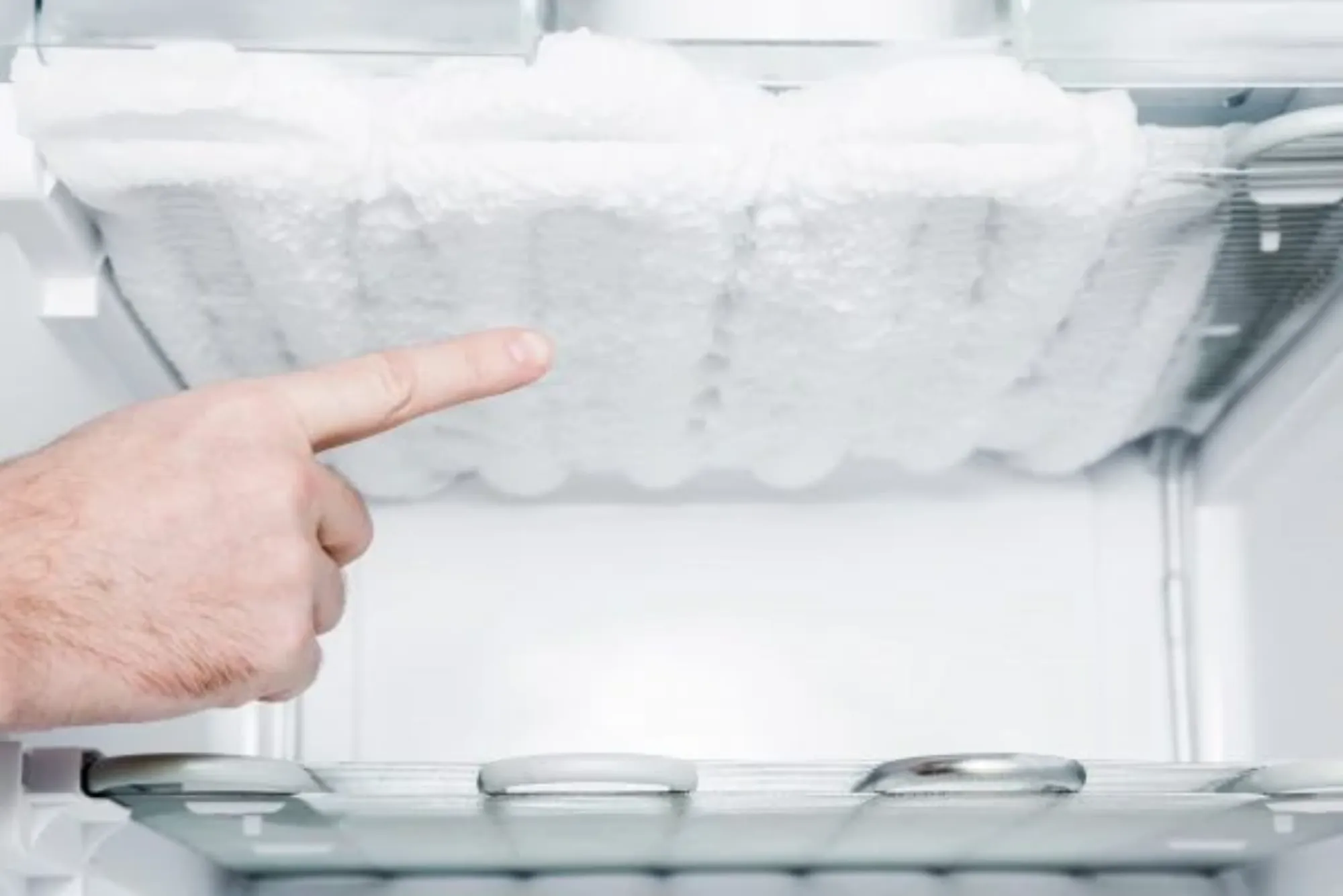 Fridge Defrosting Problem Repair