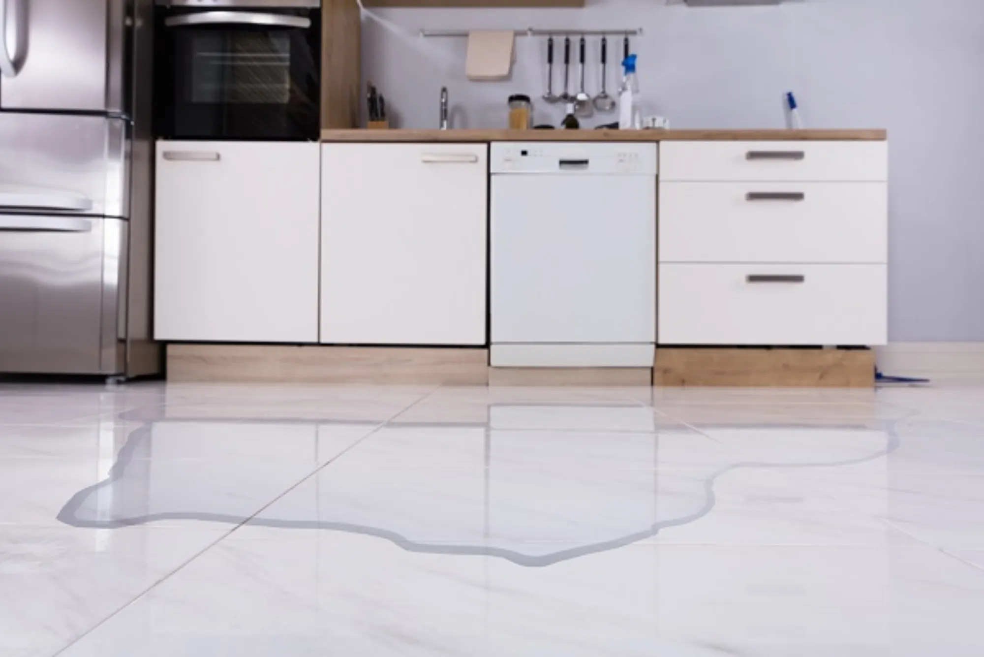 Dishwasher Water Leakage Detection and Repair Service