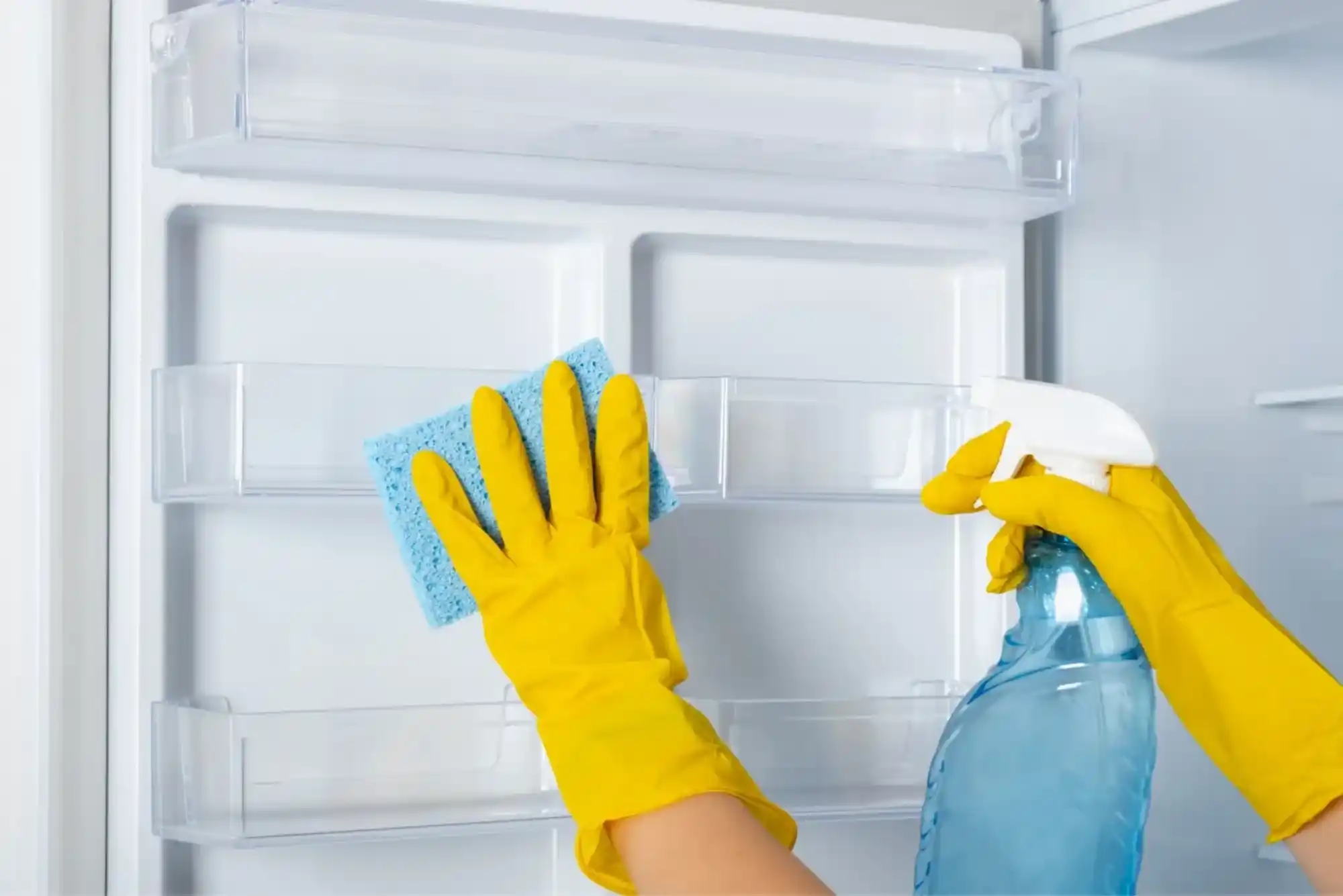 Refrigerator Cleaning and Sanitization Service